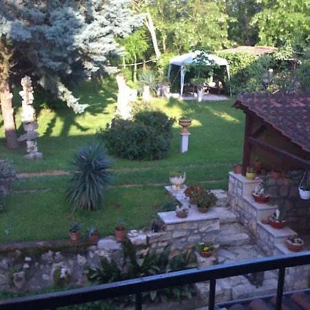 Niv Umag