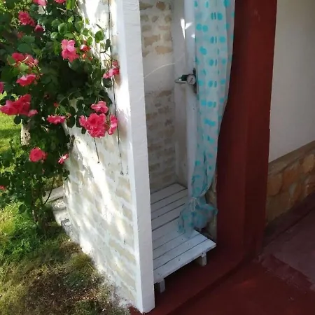 Niv Apartament Umag